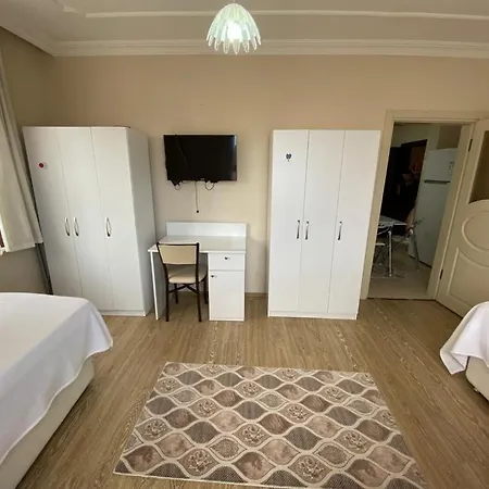 يانكي * ترابزون