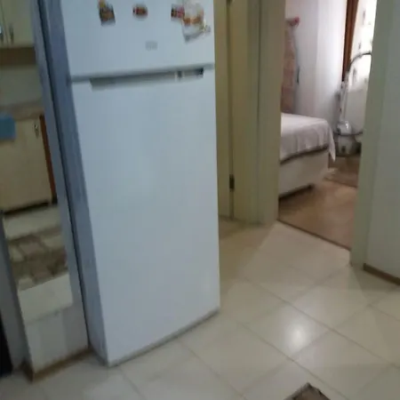 يانكي * ترابزون